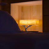 Wireless Charging Bedside Lamp Bedroom Charge Hub X